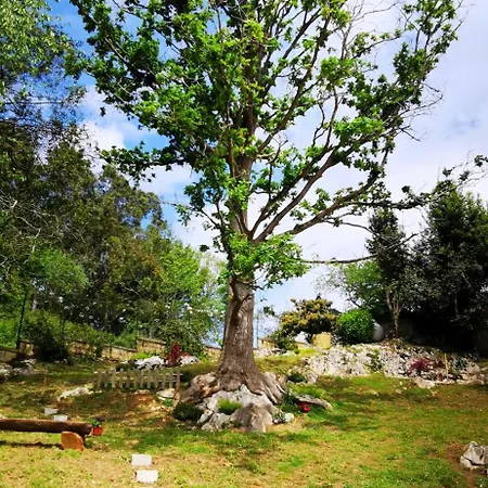 Apartman Cueva Les Pedroses