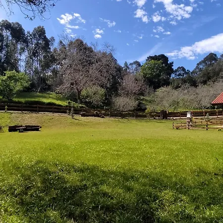 Daire Cueva Les Pedroses