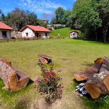 Cueva Les Pedroses Daire *